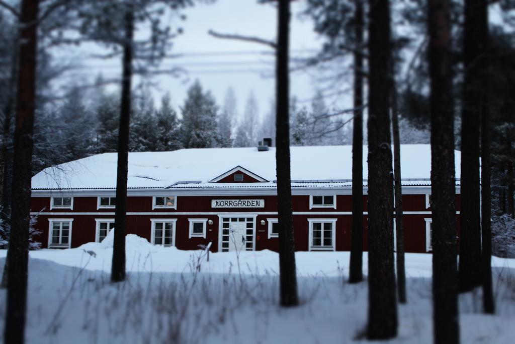 Svanstein Lodge Zewnętrze zdjęcie